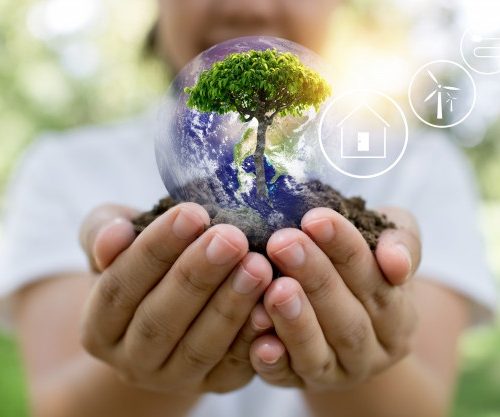 save-world-innovation-concept-girl-holding-small-plant-tree-sapling-are-growing-up-from-soil-palm-with-connection-line-ecology-conservation-concept_28629-1569